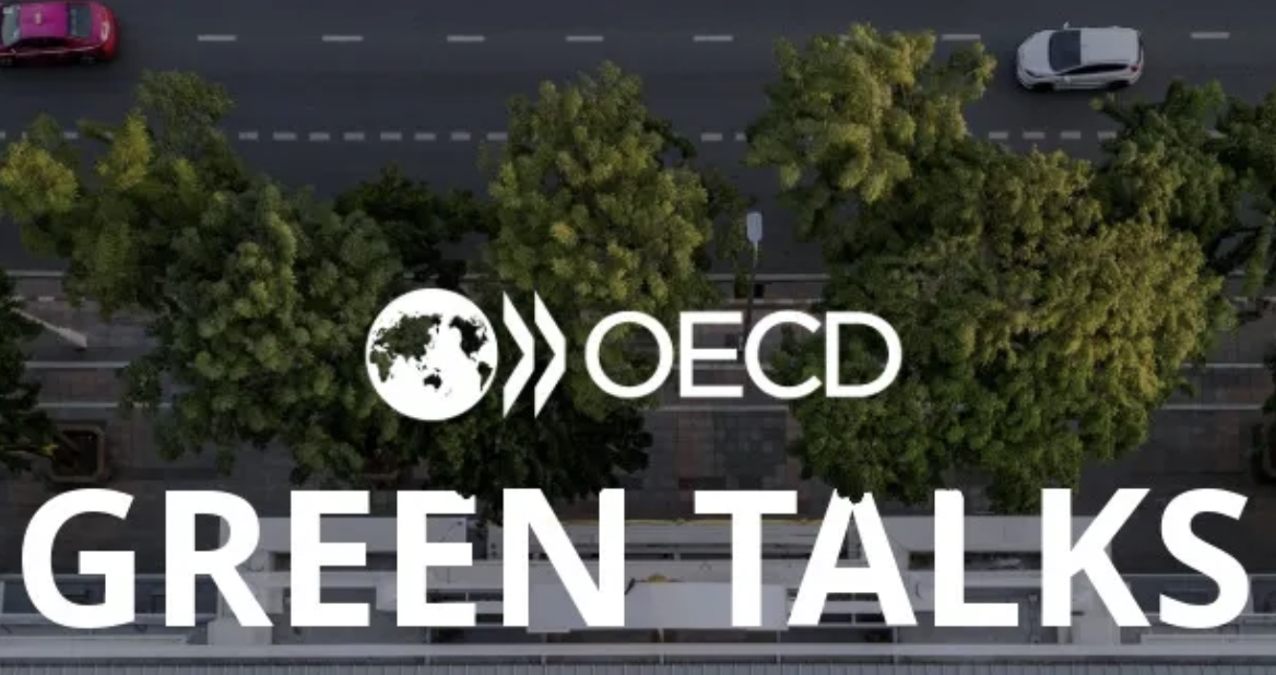 Do climate policies deliver? Evidence on emissions and carbon leakage
